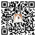 三銀絲網廠家微信
